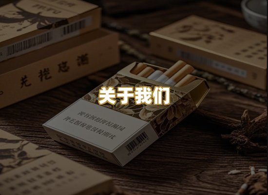 关于我们